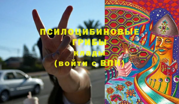 PSILOCYBIN Волоколамск