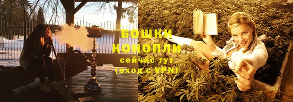стаф Волосово