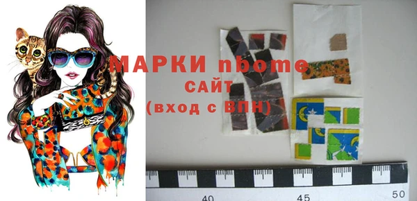 стаф Волосово