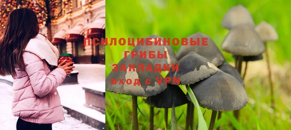 ешки Вязьма
