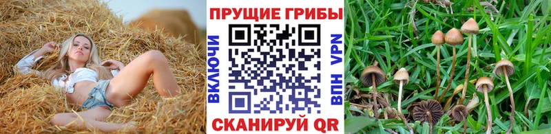 Псилоцибиновые грибы мухоморы  Закаменск 